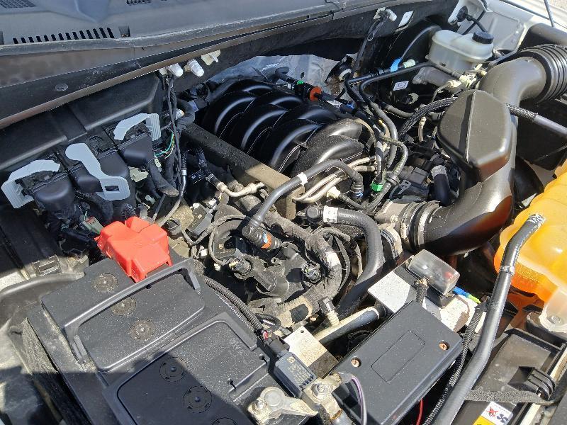 Ford F-150 2WD Reg Cab 145" XL w/Midbox Prep 2020