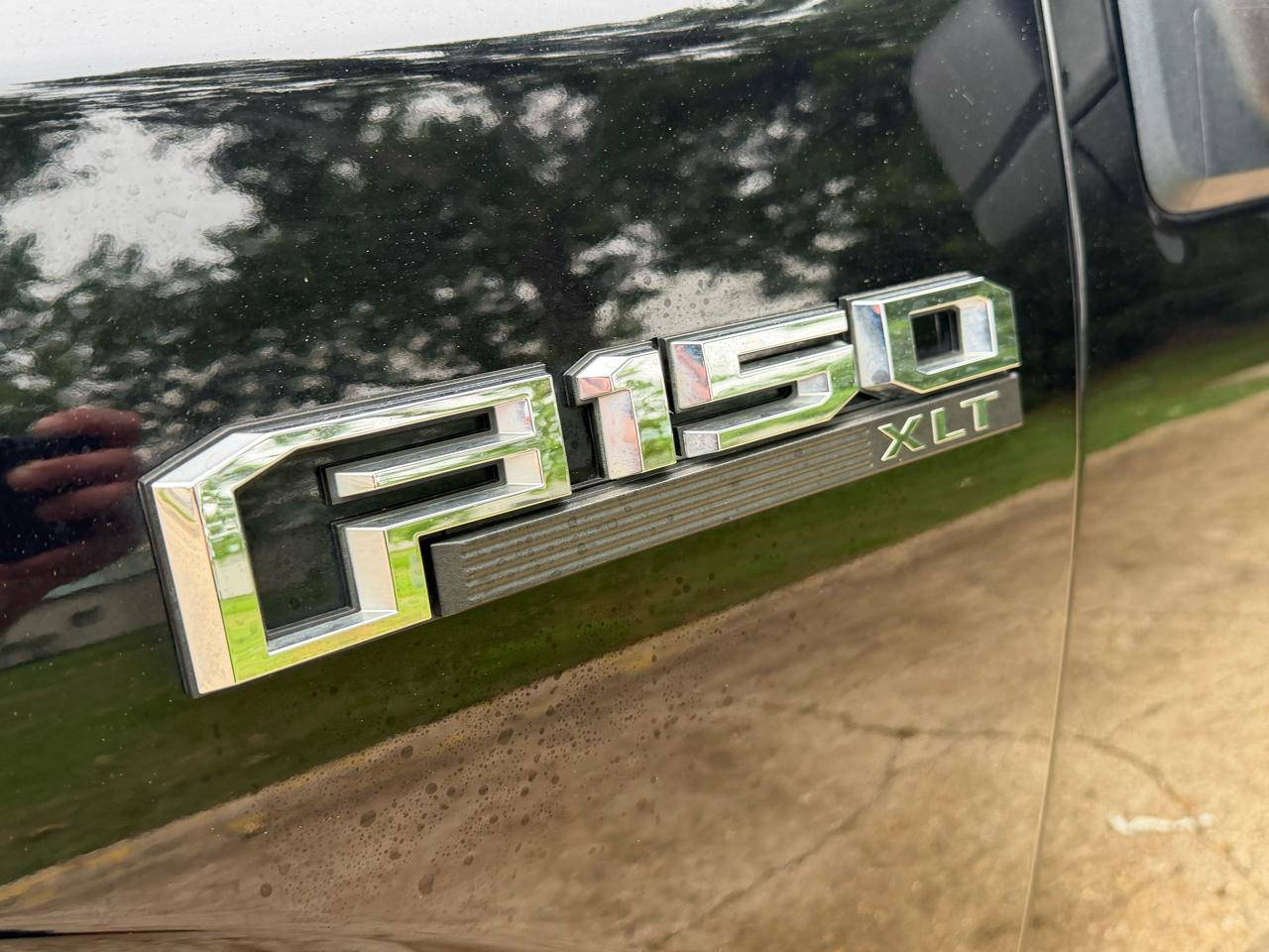 Ford F150 XLT Reg Cab 2WD 122 2019