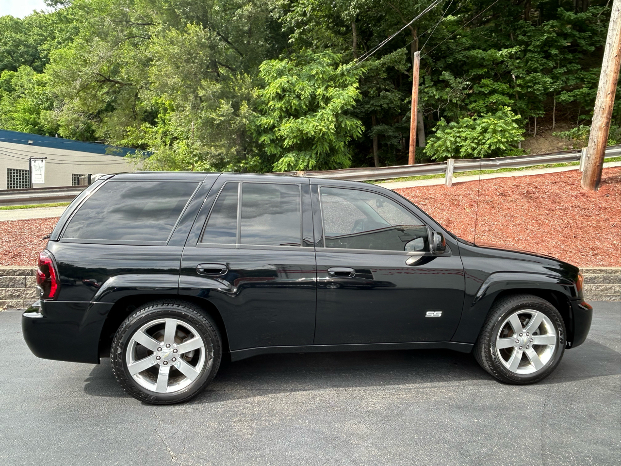 Chevrolet TrailBlazer 4dr 4WD LT 2006