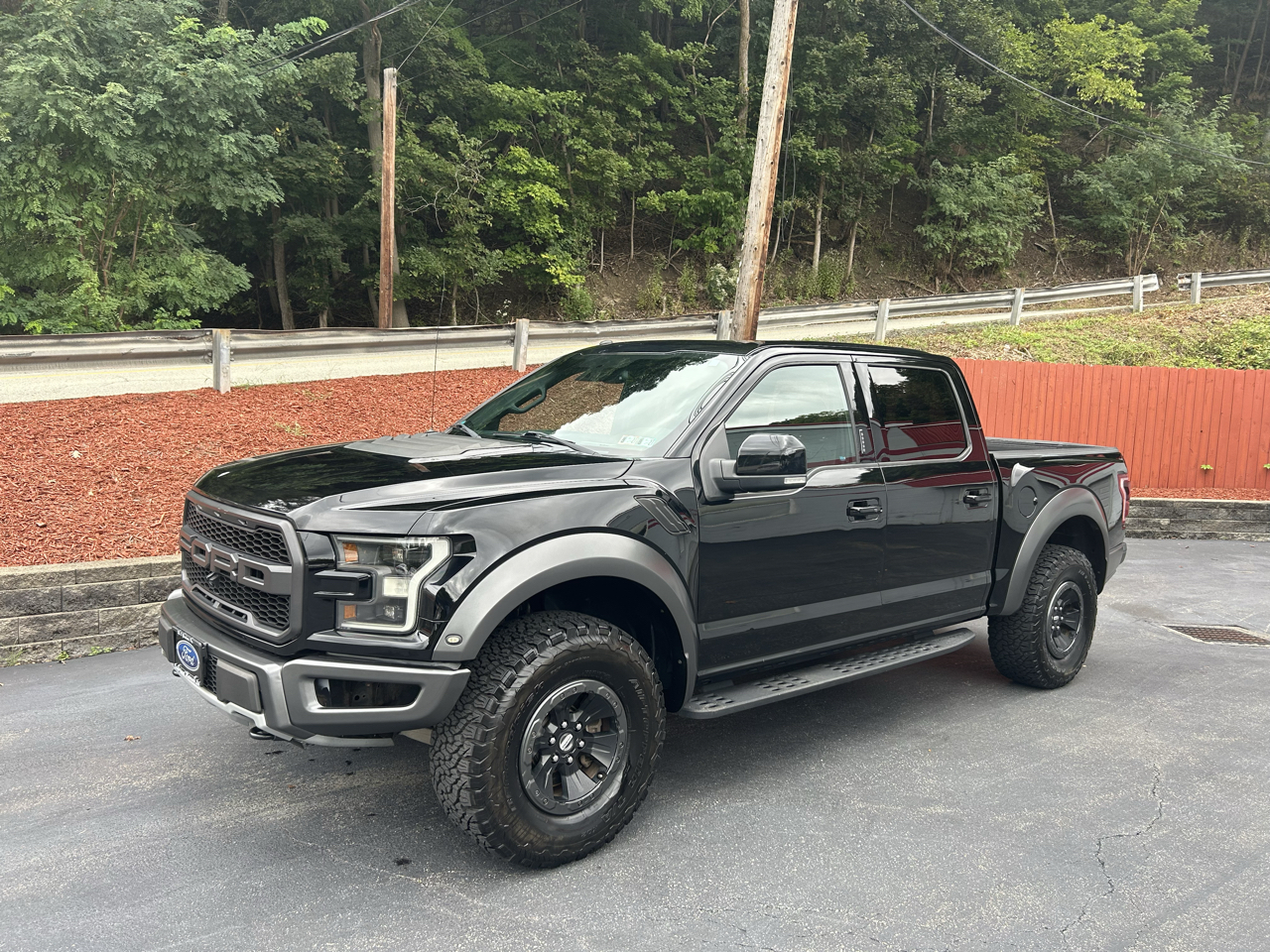 Ford F-150 Raptor 4WD SuperCrew 5.5' Box 2017