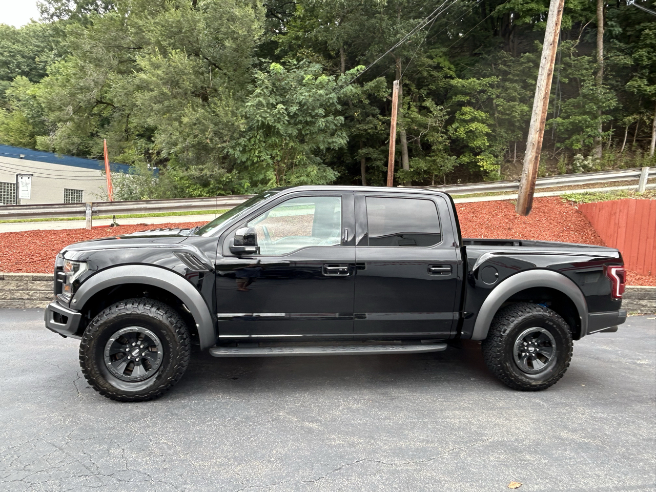 Ford F-150 Raptor 4WD SuperCrew 5.5' Box 2017