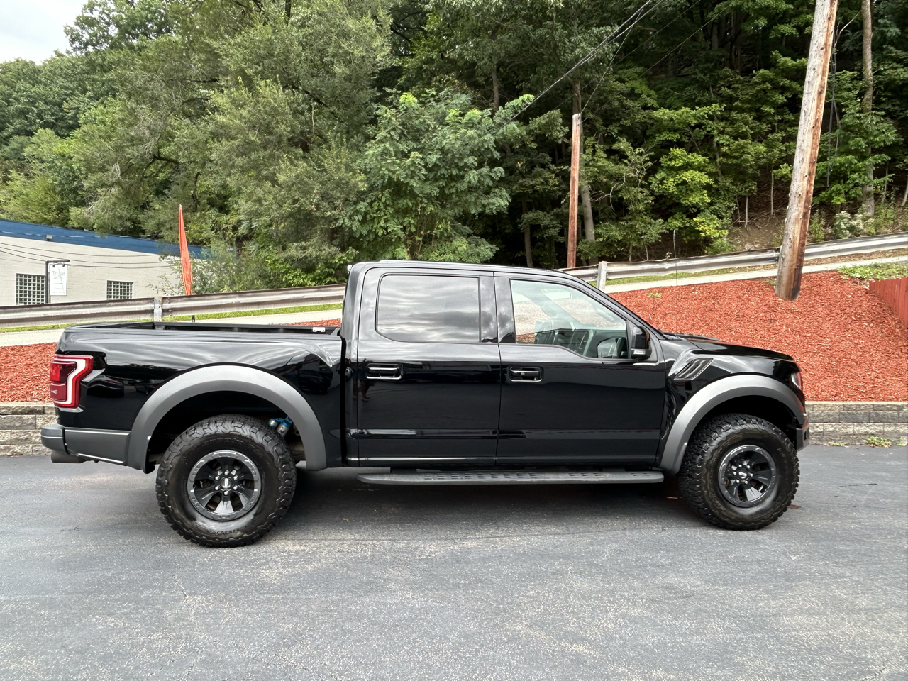 Ford F-150 Raptor 4WD SuperCrew 5.5' Box 2017