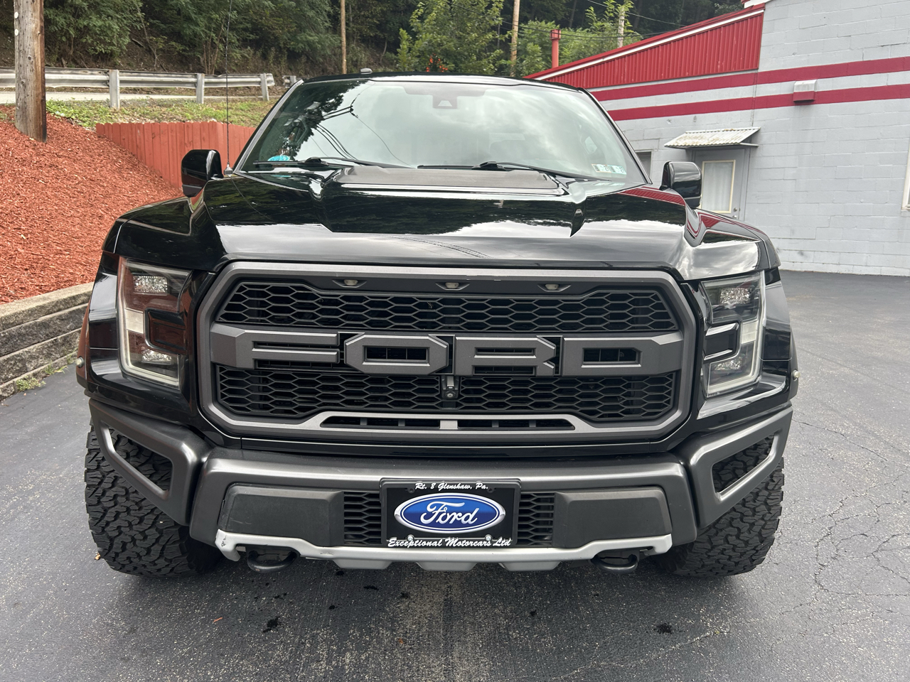 Ford F-150 Raptor 4WD SuperCrew 5.5' Box 2017