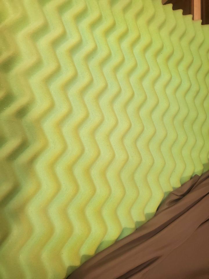 Forest River Surveyor  2018