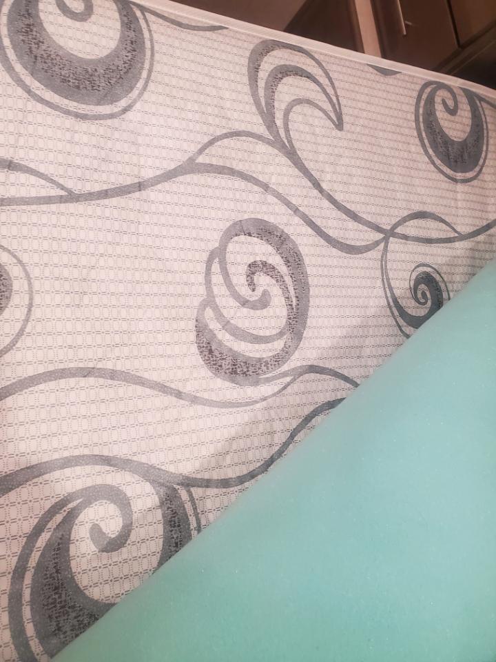 Forest River Surveyor  2018