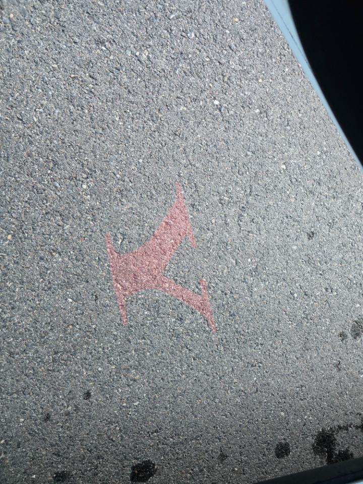 Tesla Model Y Performance 2021