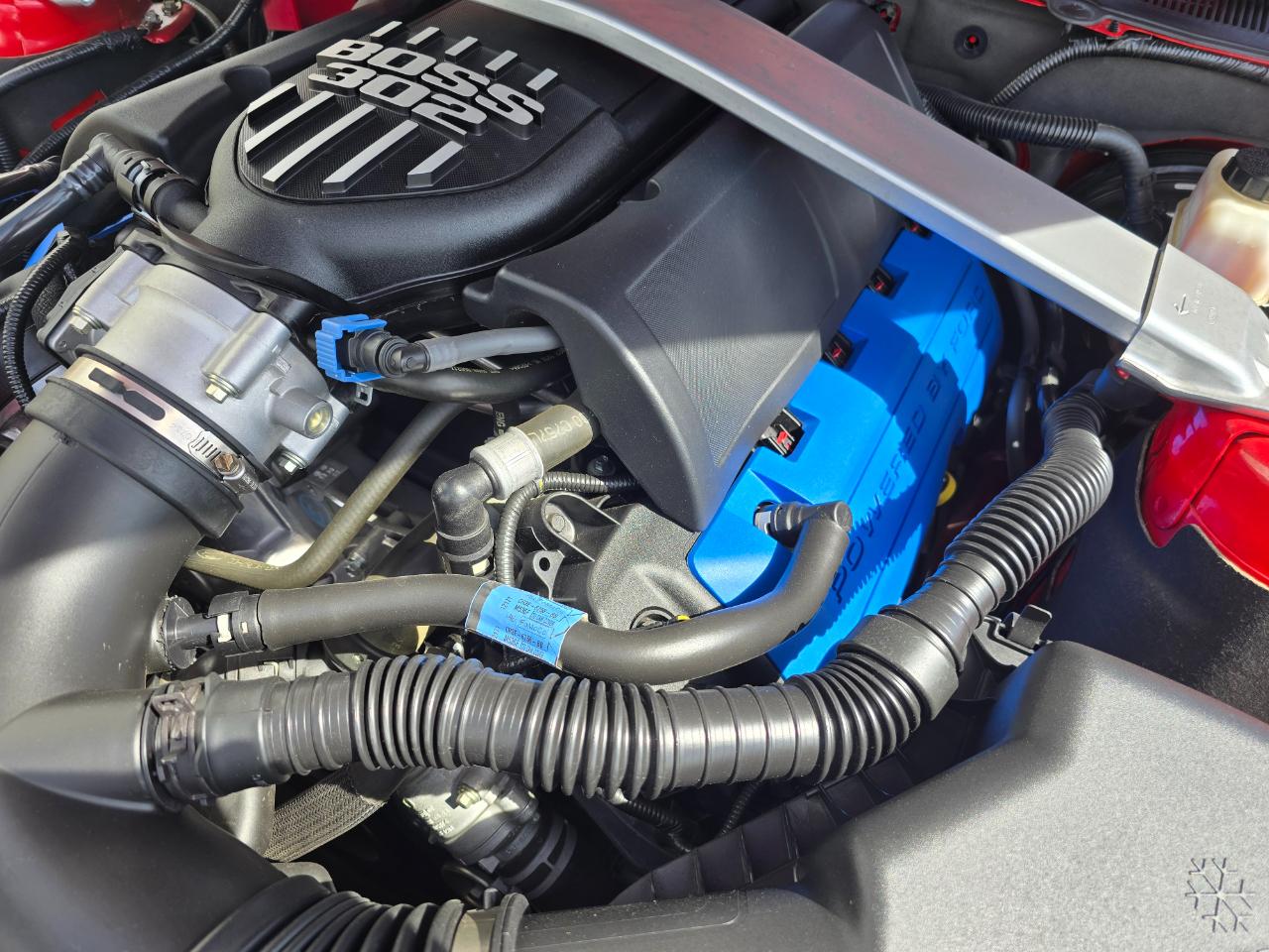 Ford Mustang Boss 302 2012