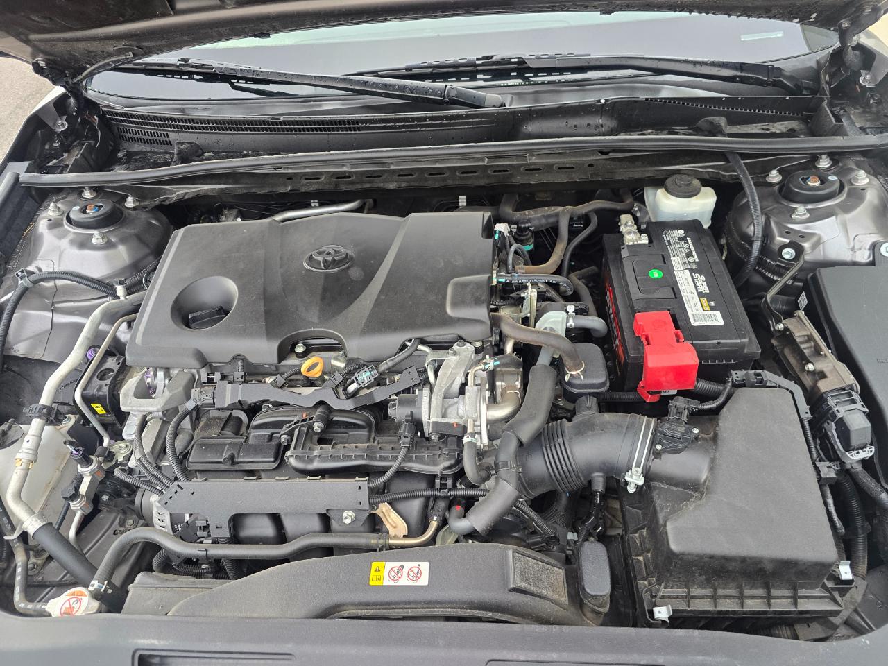 Toyota Camry XLE 2019