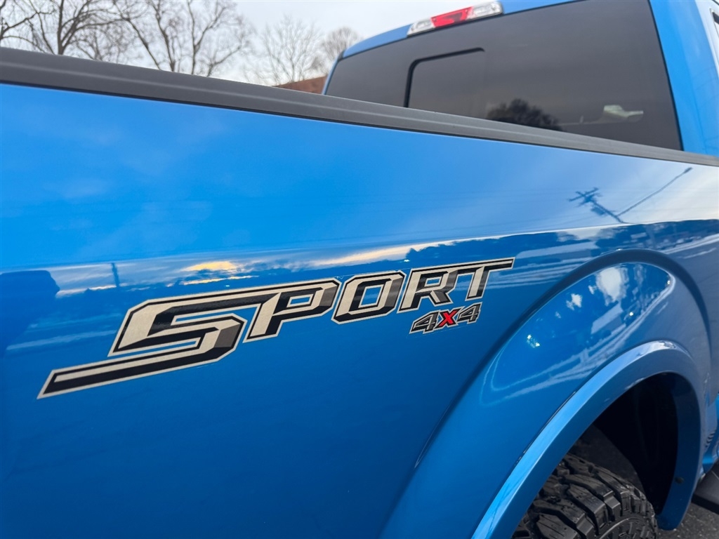 Ford F-150 XLT SuperCrew 5.5-ft. Bed 4WD 2020