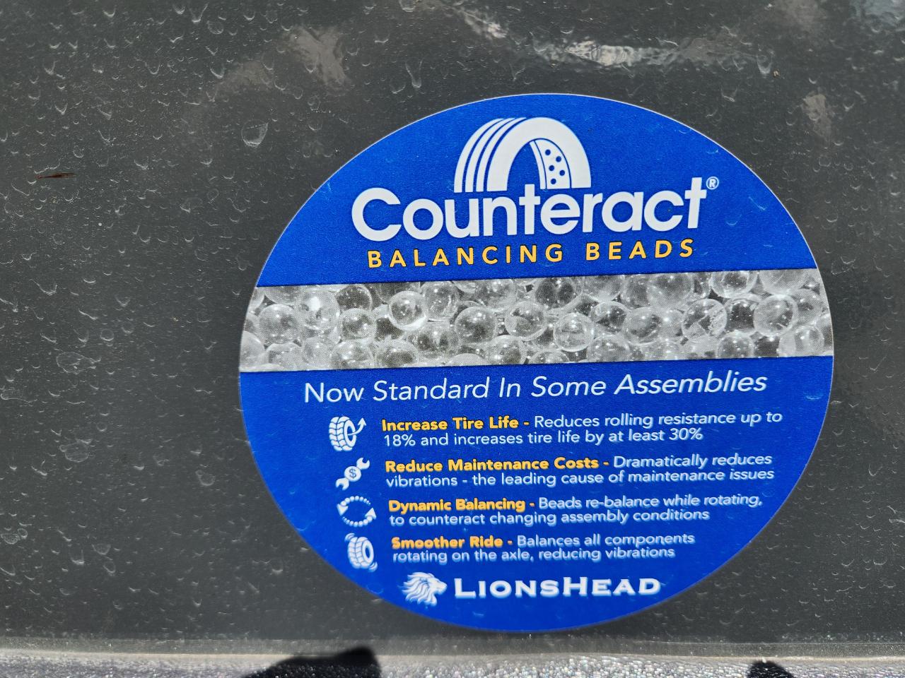 Rockwood Mini Lite  2026