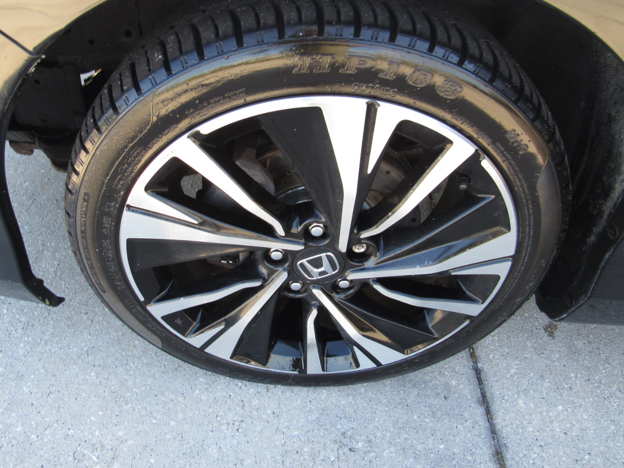 Honda Accord Cpe 2dr V6 Auto EX-L 2013 Honda Accord Cpe 2dr V6 Auto EX-L 2013