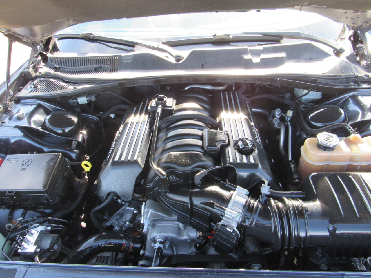 Dodge Challenger 2dr Cpe R/T Scat Pack 2016