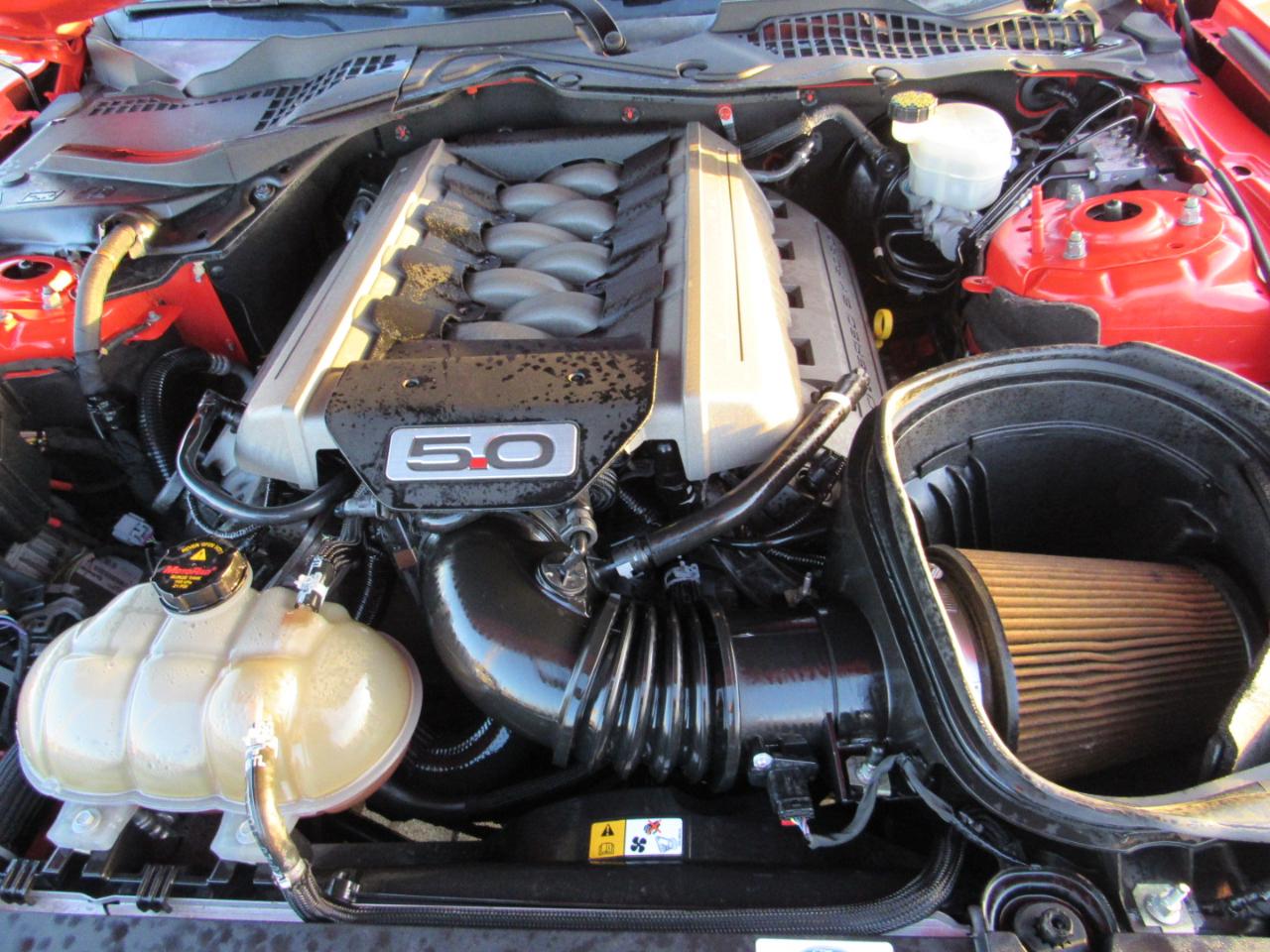 Ford Mustang 2dr Fastback GT 2016