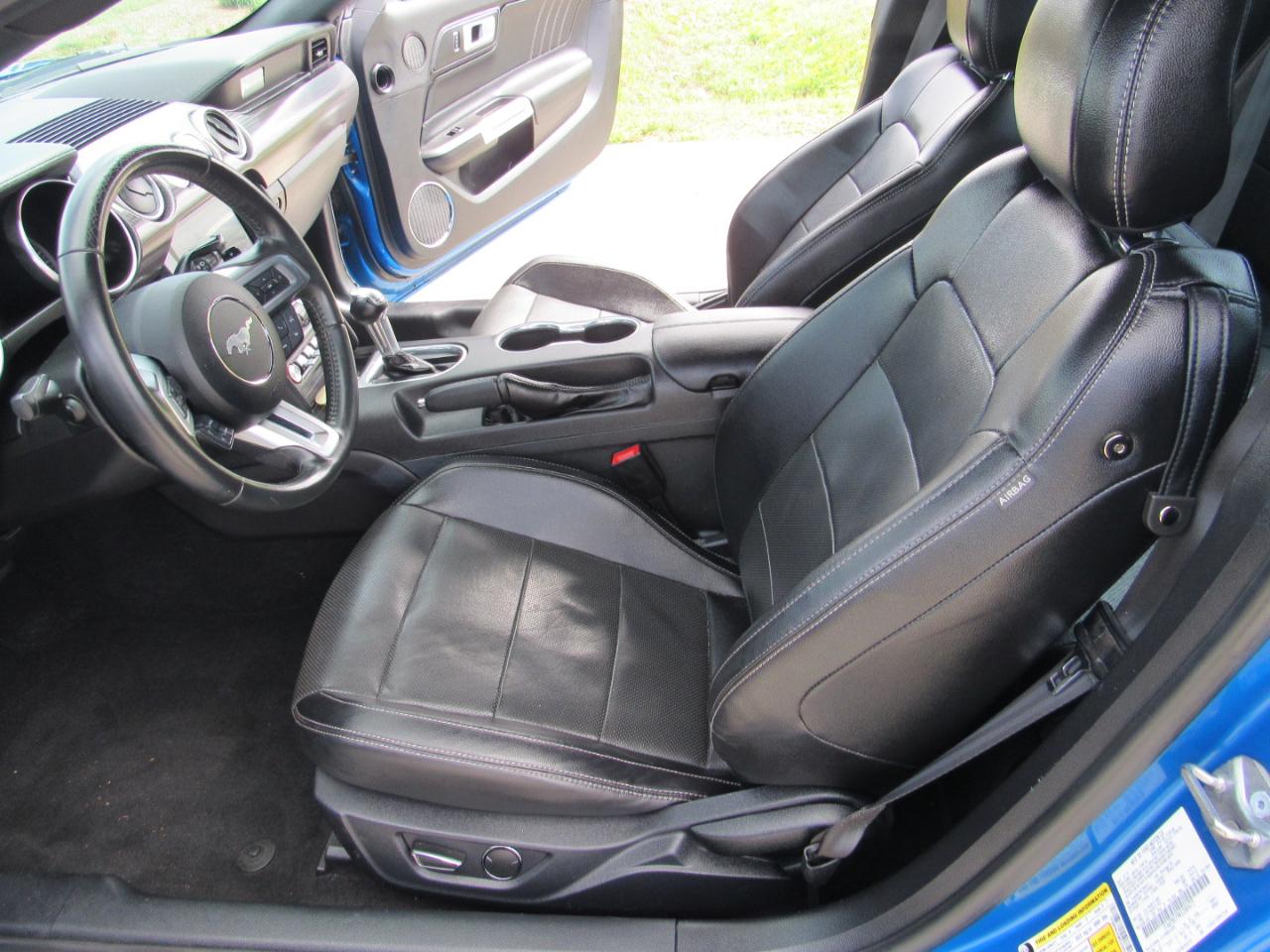 Ford Mustang GT Fastback 2019