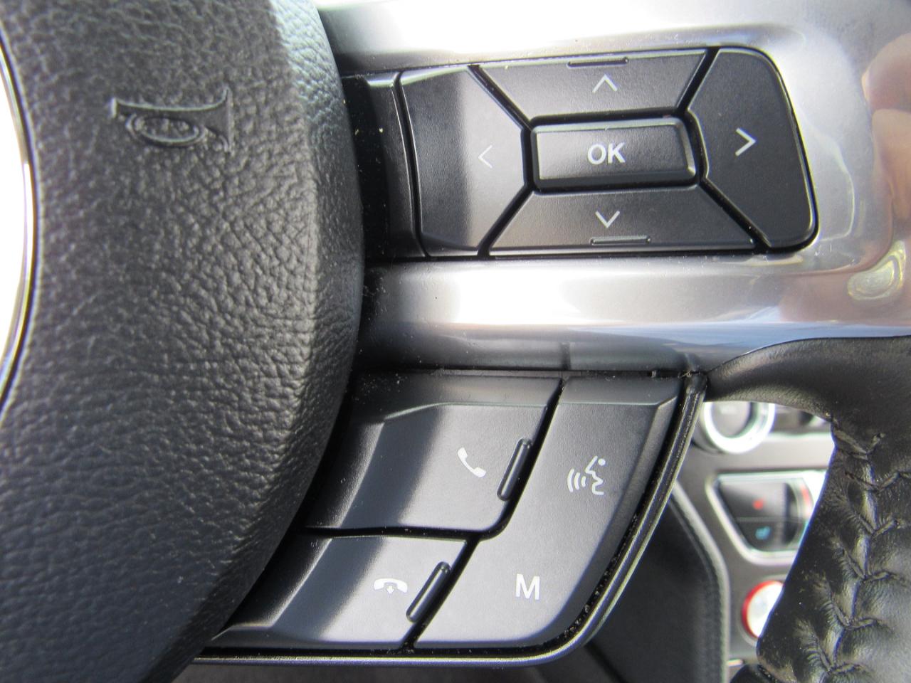 Ford Mustang GT Fastback 2019