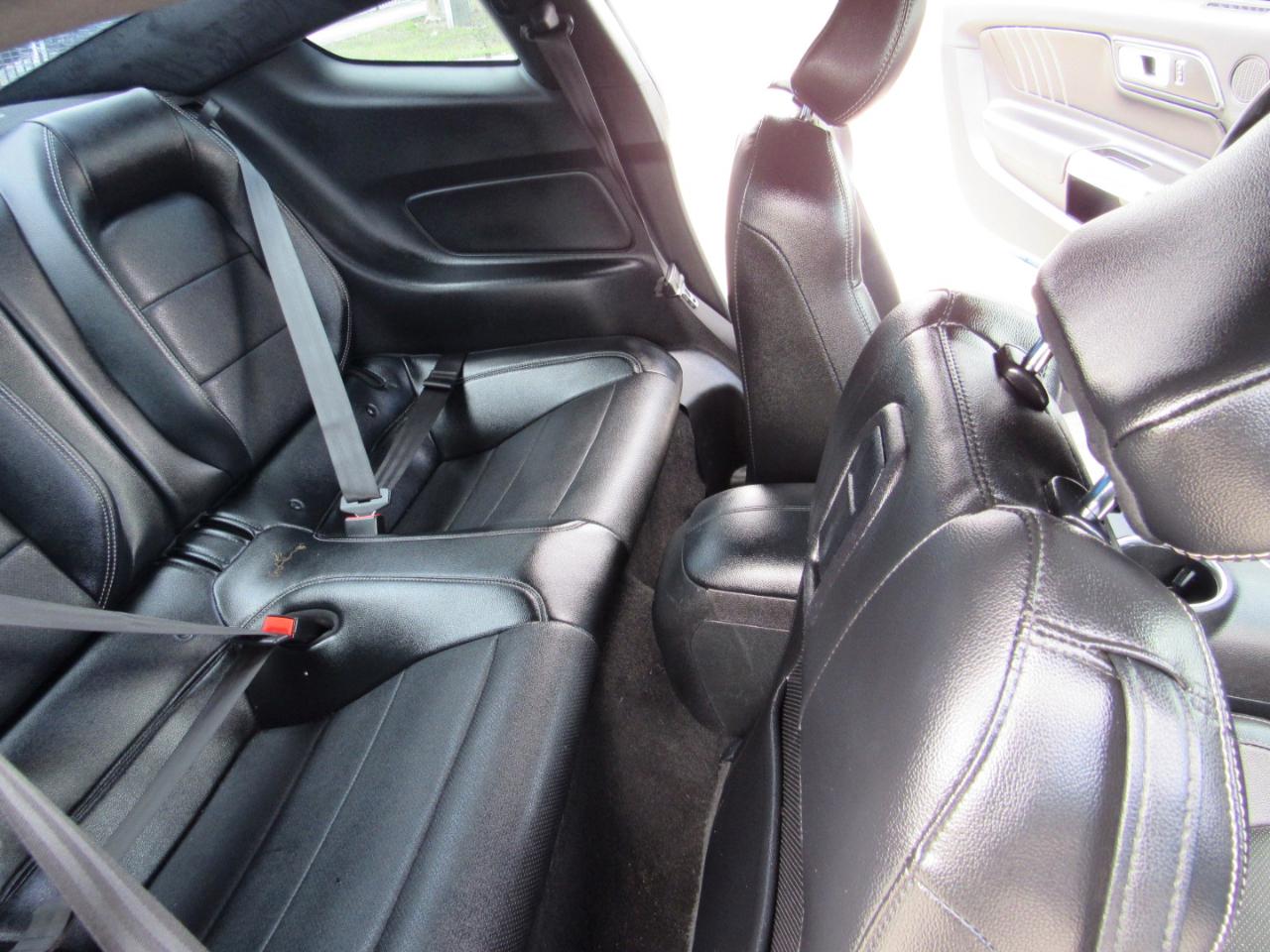 Ford Mustang GT Fastback 2019