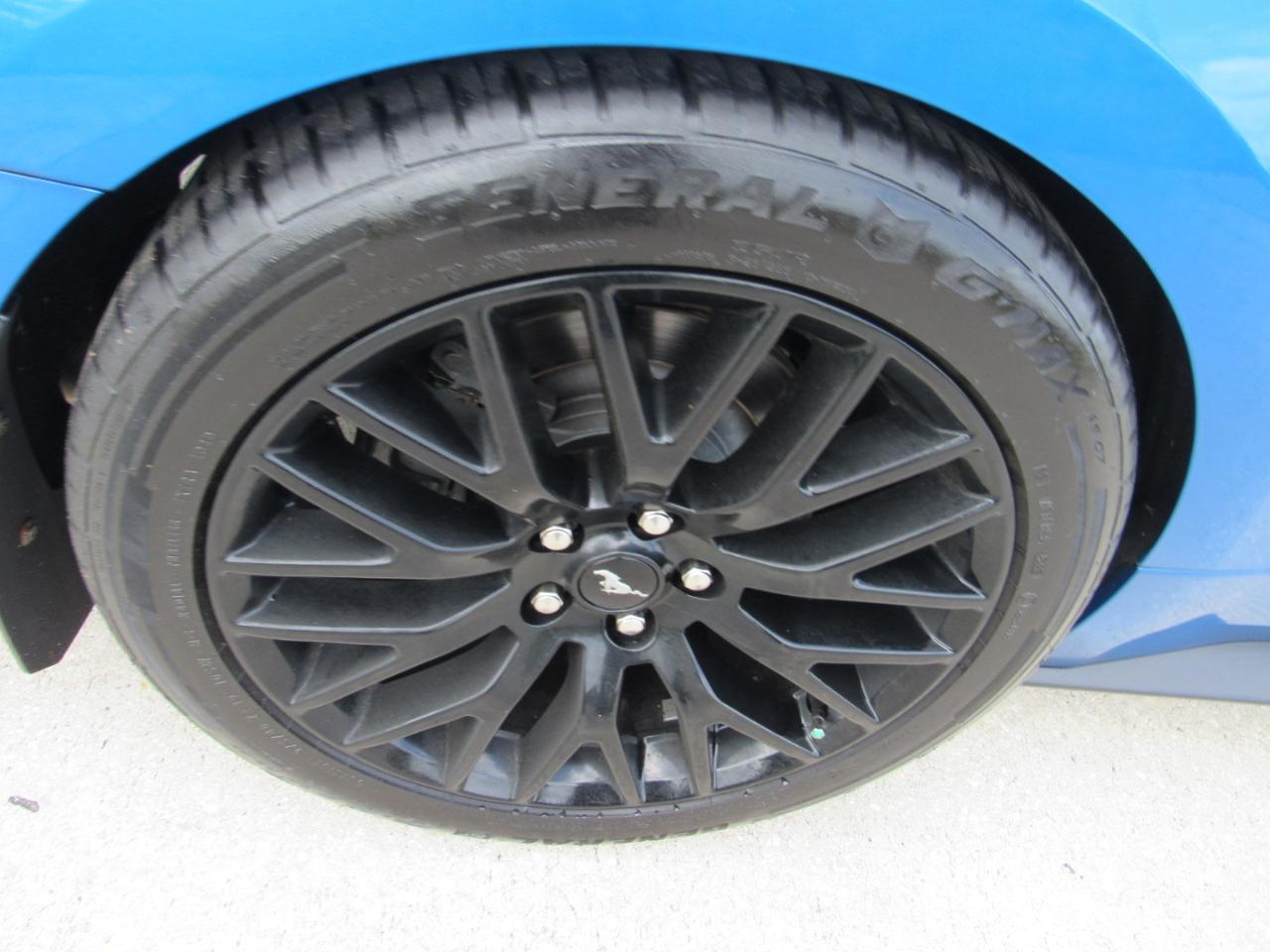 Ford Mustang GT Fastback 2019