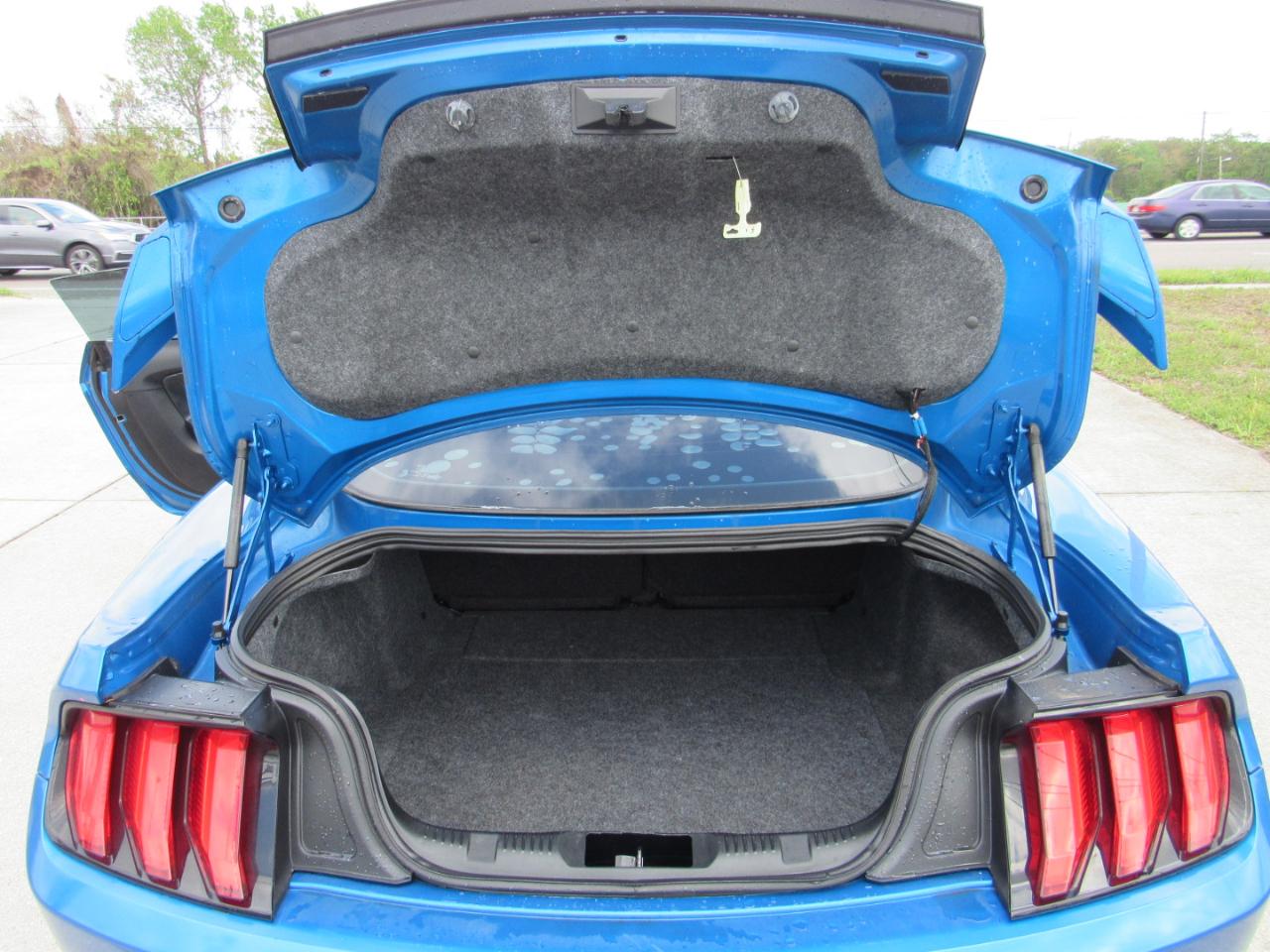 Ford Mustang GT Fastback 2019