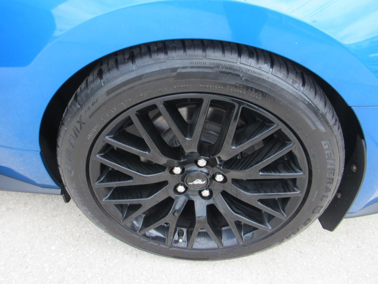 Ford Mustang GT Fastback 2019