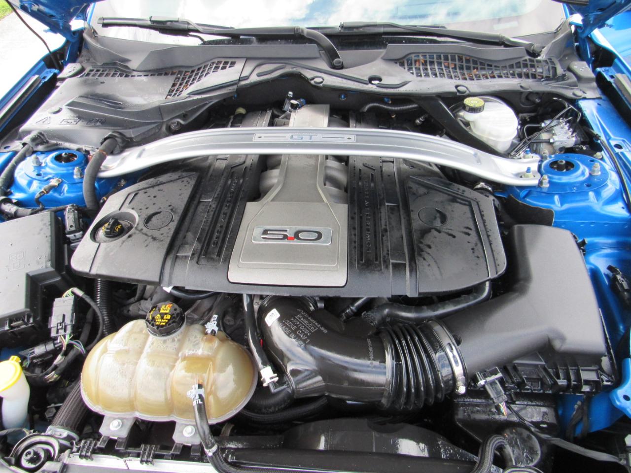 Ford Mustang GT Fastback 2019