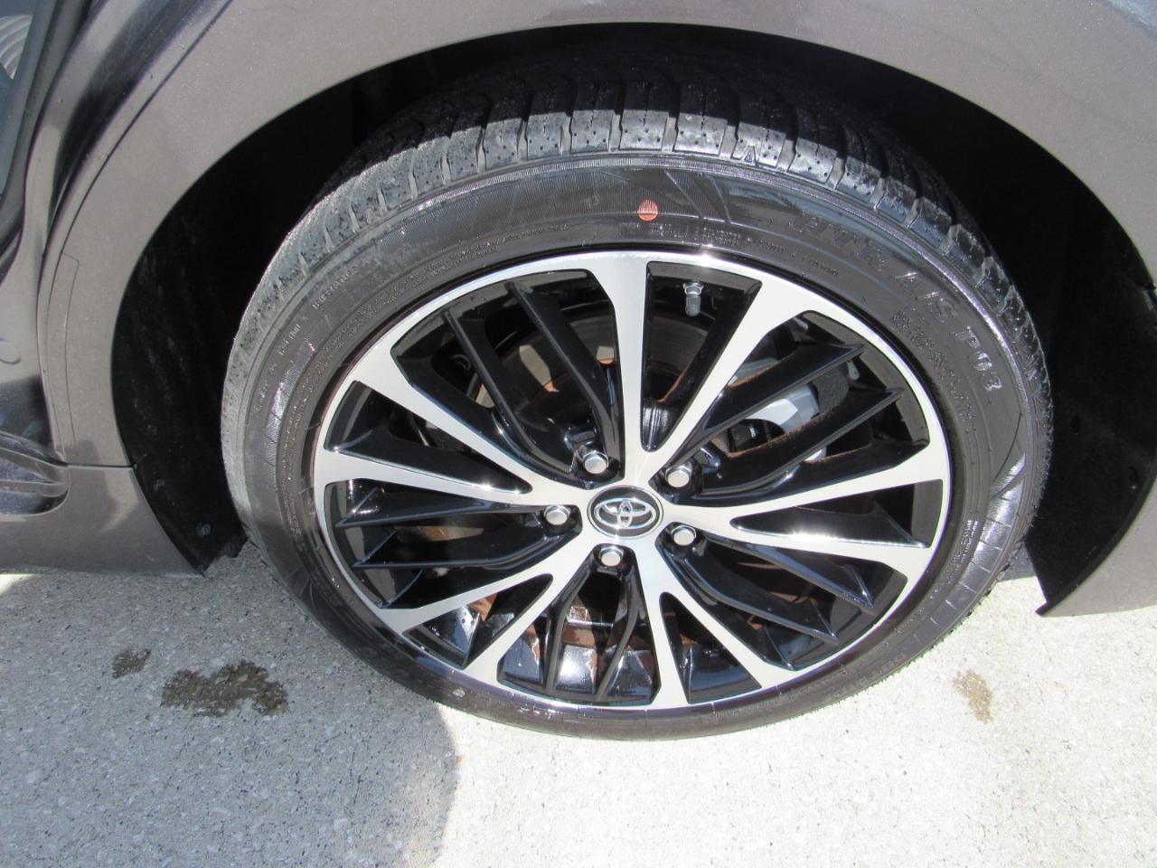 Toyota Camry XLE Auto (Natl) 2019