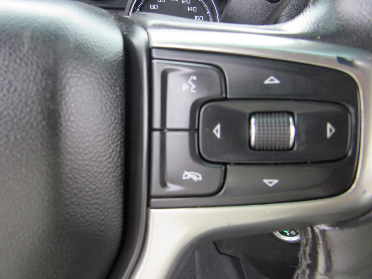 Chevrolet Silverado 1500 4WD Crew Cab 147" LT Trail Boss 2019