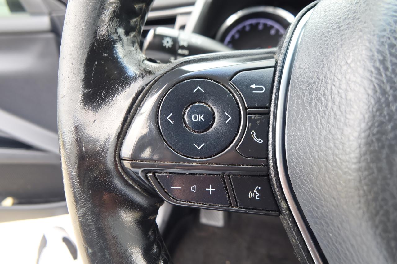 Toyota Camry XLE Auto (Natl) 2019