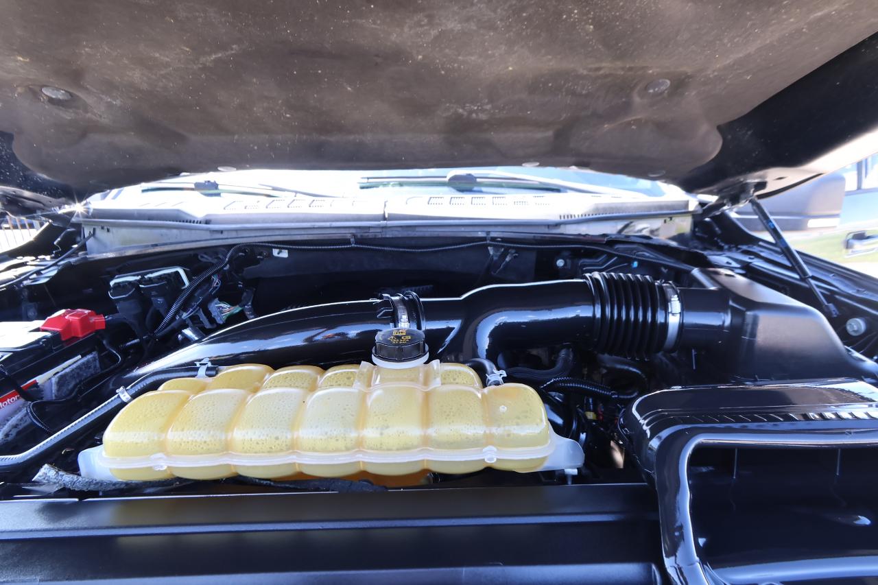 Ford F-150 XLT 4WD SuperCrew 5.5' Box 2019