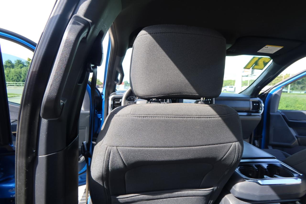 Ford F-150 2WD SuperCrew 157" XL 2021