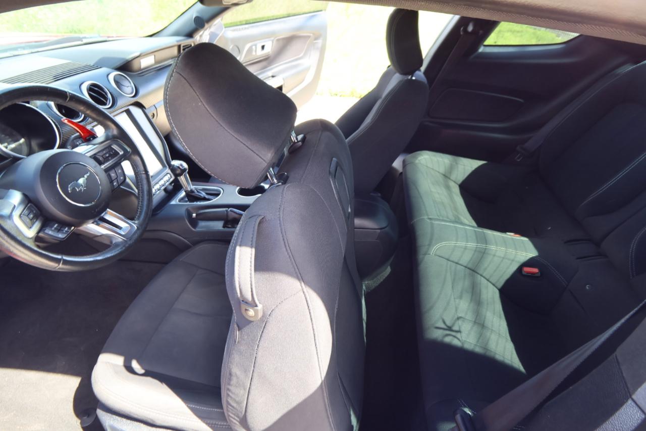 Ford Mustang EcoBoost Fastback 2021