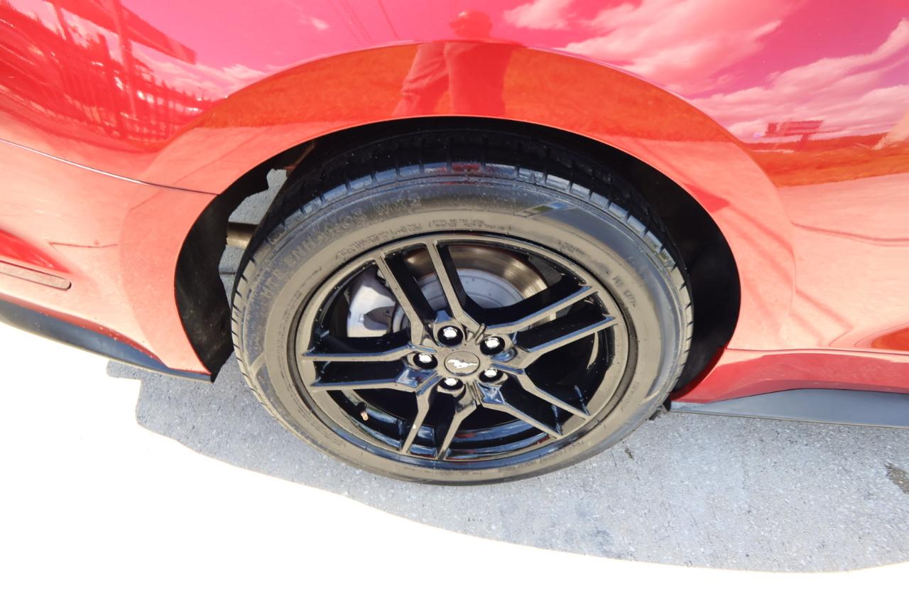 Ford Mustang EcoBoost Fastback 2021