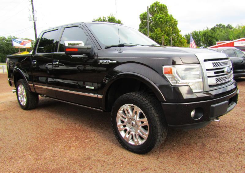 2013 Ford F-150 Platinum - Photo 9