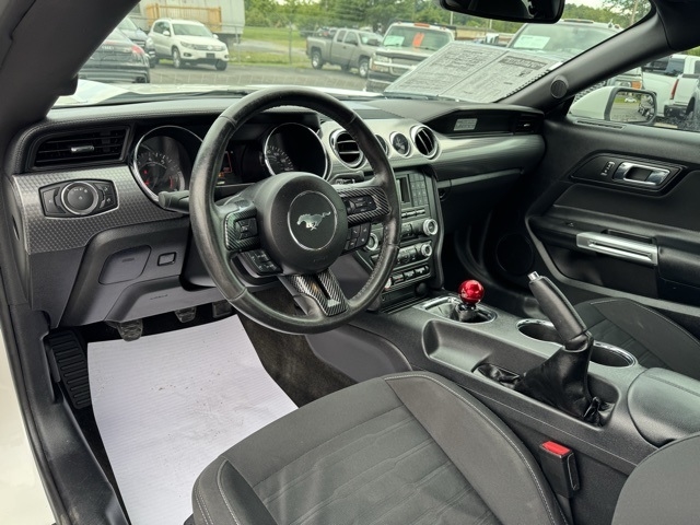 Ford Mustang GT Fastback 2017