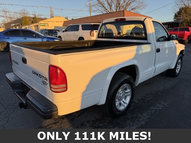 2003 Dodge Dakota Base photo 2