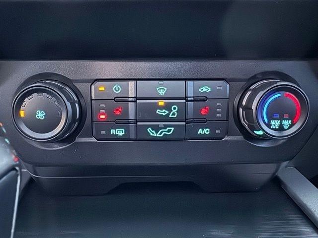 Ford F-150 Raptor 4WD SuperCrew 5.5' Box 2019