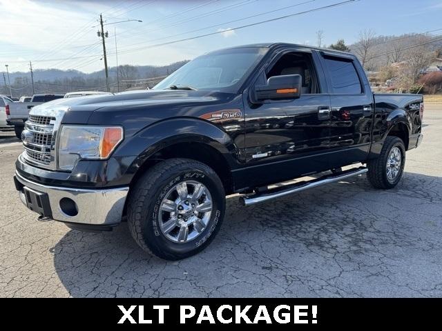 Ford F-150 4WD SuperCrew 145" XLT 2013