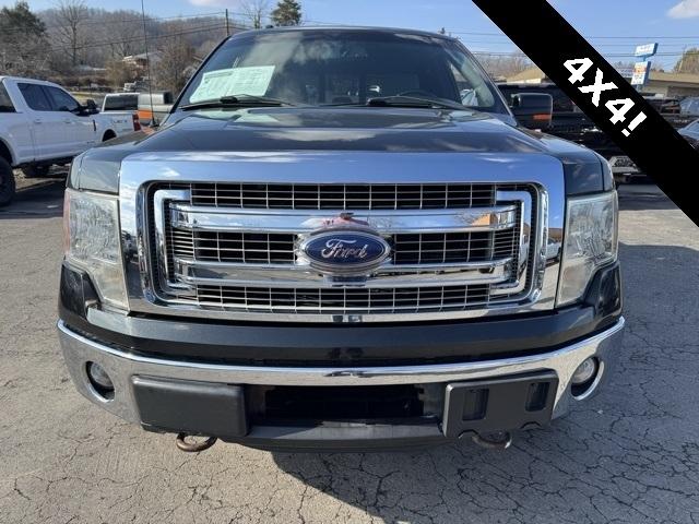 Ford F-150 4WD SuperCrew 145" XLT 2013