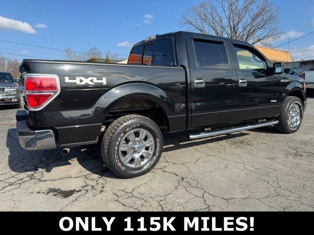 Ford F-150 4WD SuperCrew 145" XLT 2013