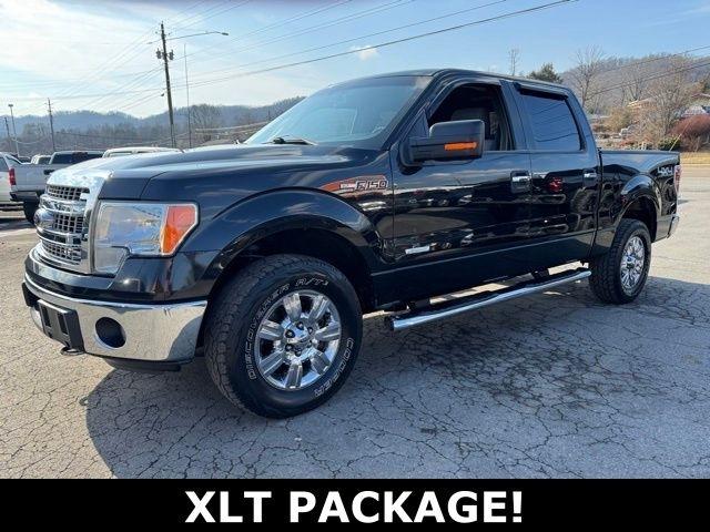 Ford F-150 4WD SuperCrew 145" XLT 2013