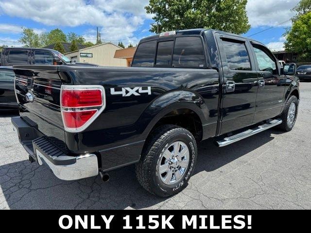 Ford F-150 4WD SuperCrew 145" XLT 2013