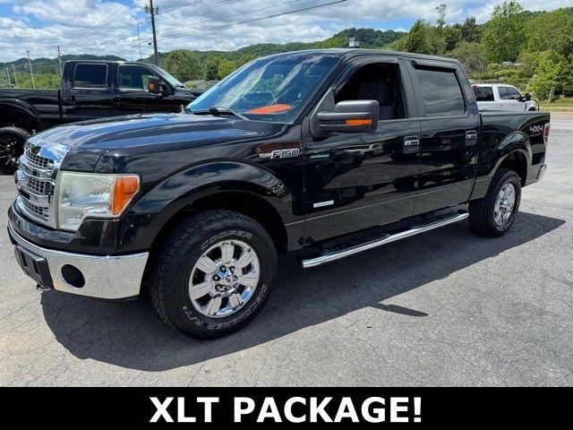 Ford F-150 4WD SuperCrew 145" XLT 2013