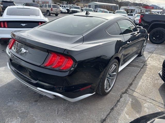 Ford Mustang EcoBoost Fastback 2022