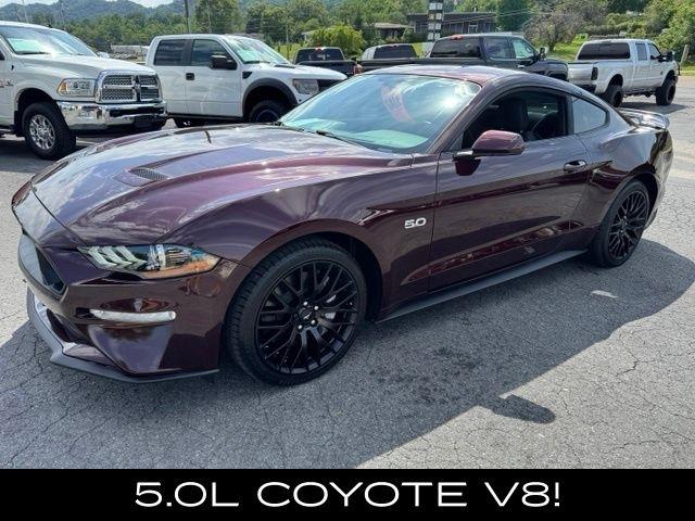 Ford Mustang GT Fastback 2018