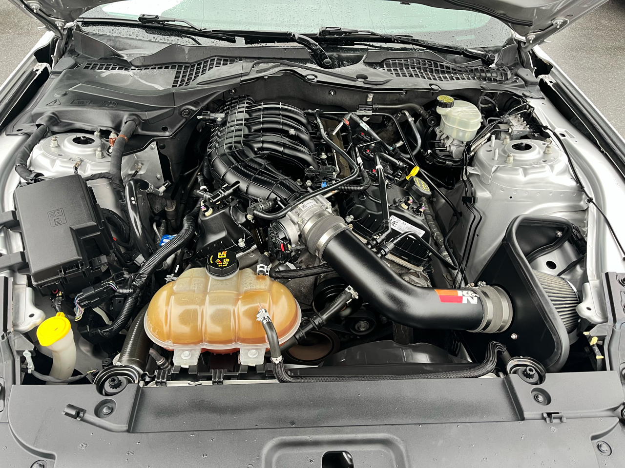 Ford Mustang 2dr Fastback V6 2015 Ford Mustang 2dr Fastback V6 2015