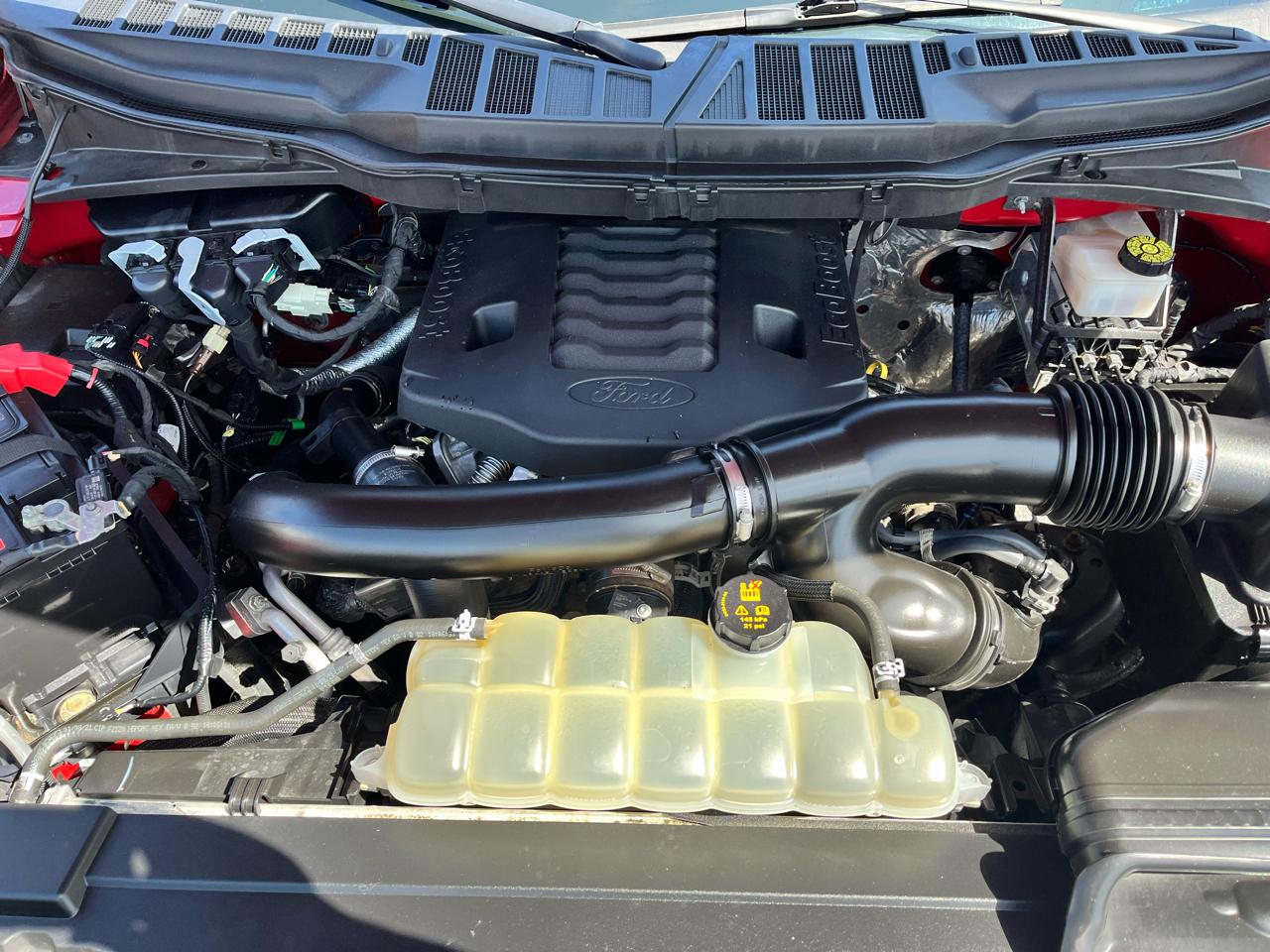 Ford F-150 XL 4WD SuperCrew 5.5' Box 2021