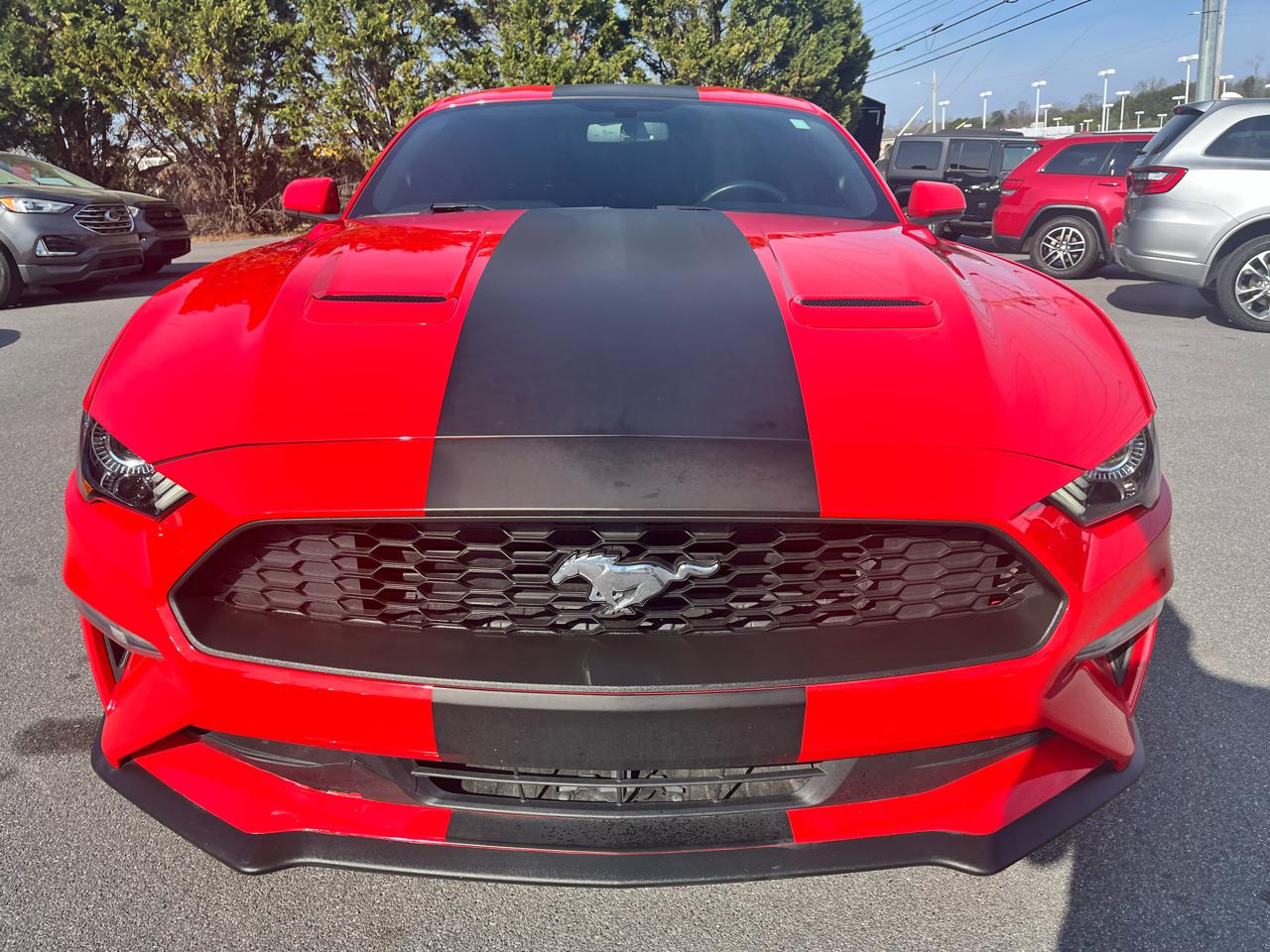 Ford Mustang EcoBoost Fastback 2019