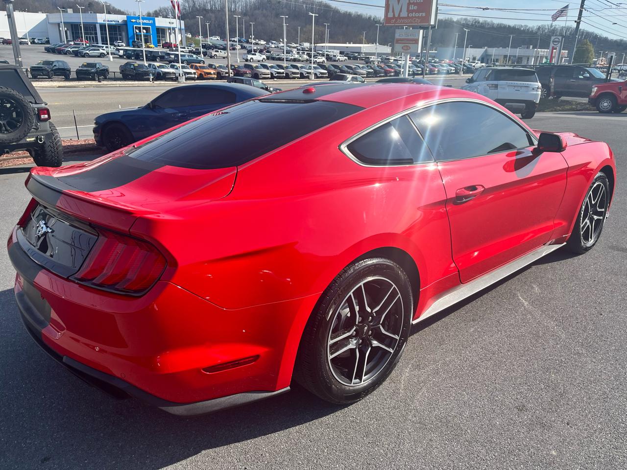 Ford Mustang EcoBoost Fastback 2019