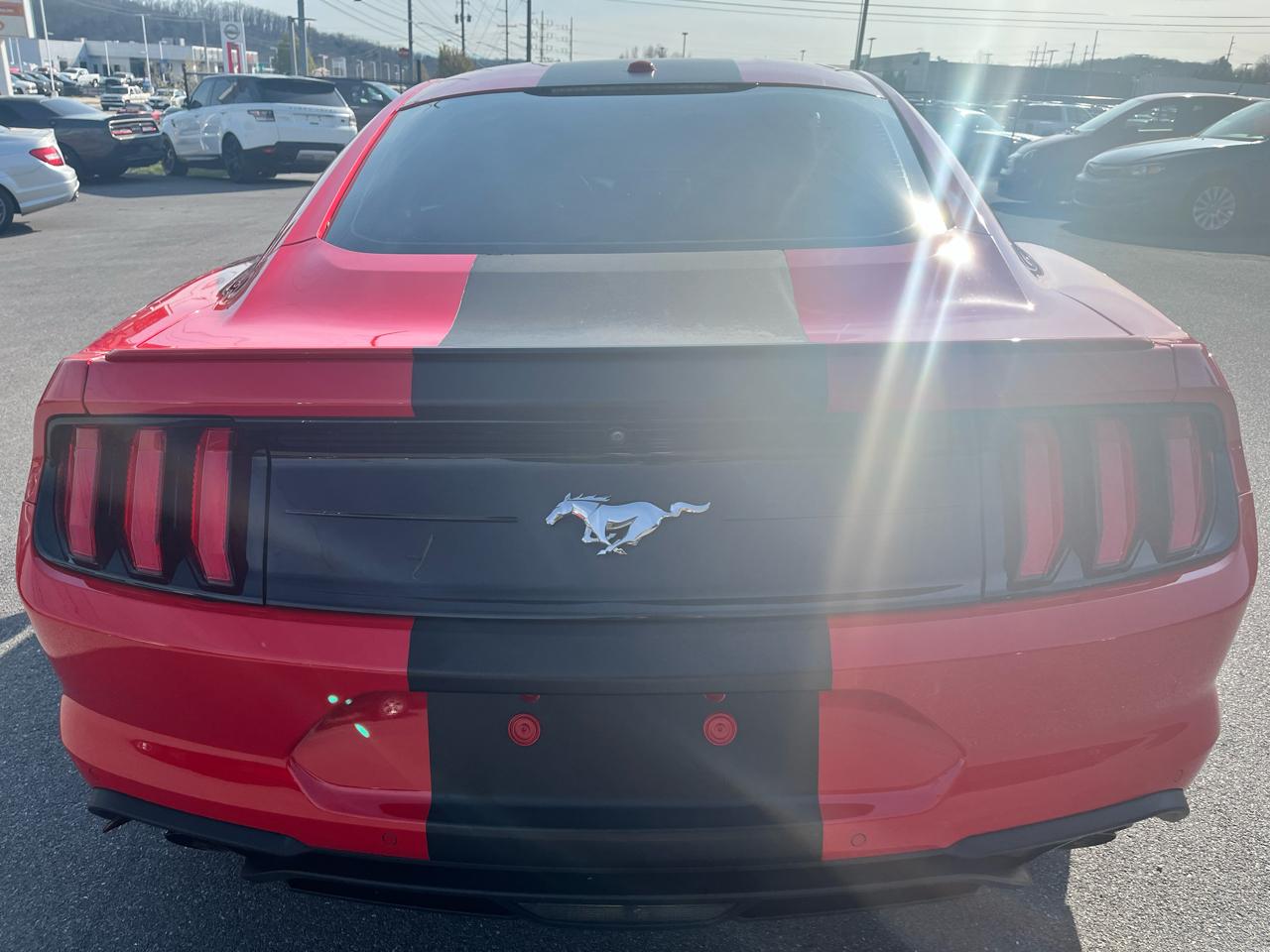 Ford Mustang EcoBoost Fastback 2019