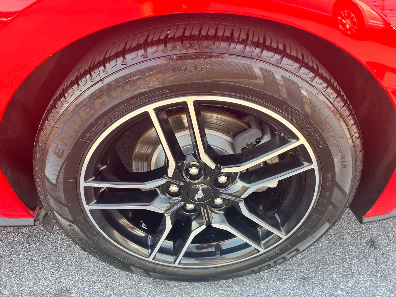 Ford Mustang EcoBoost Fastback 2019