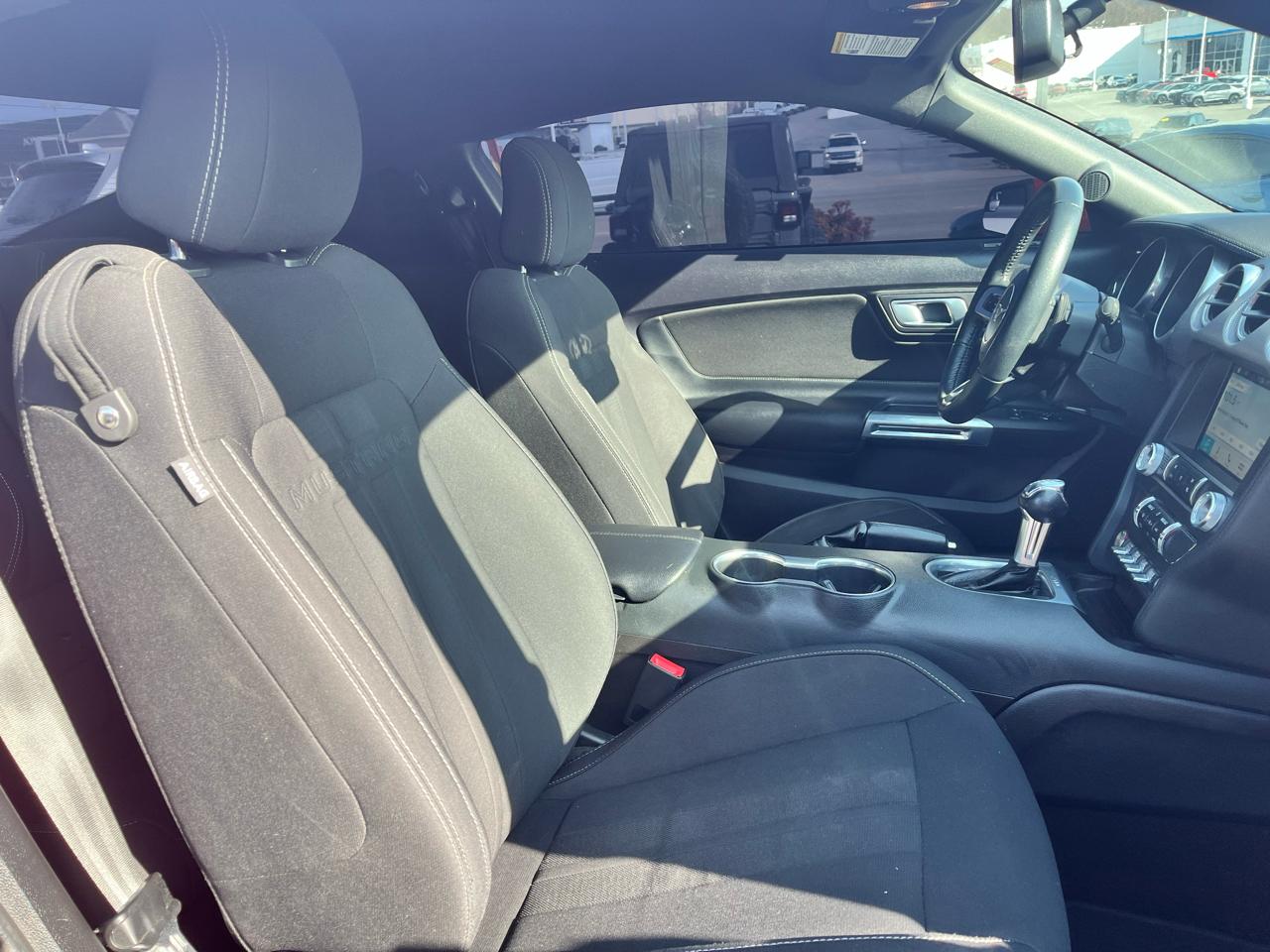 Ford Mustang EcoBoost Fastback 2019